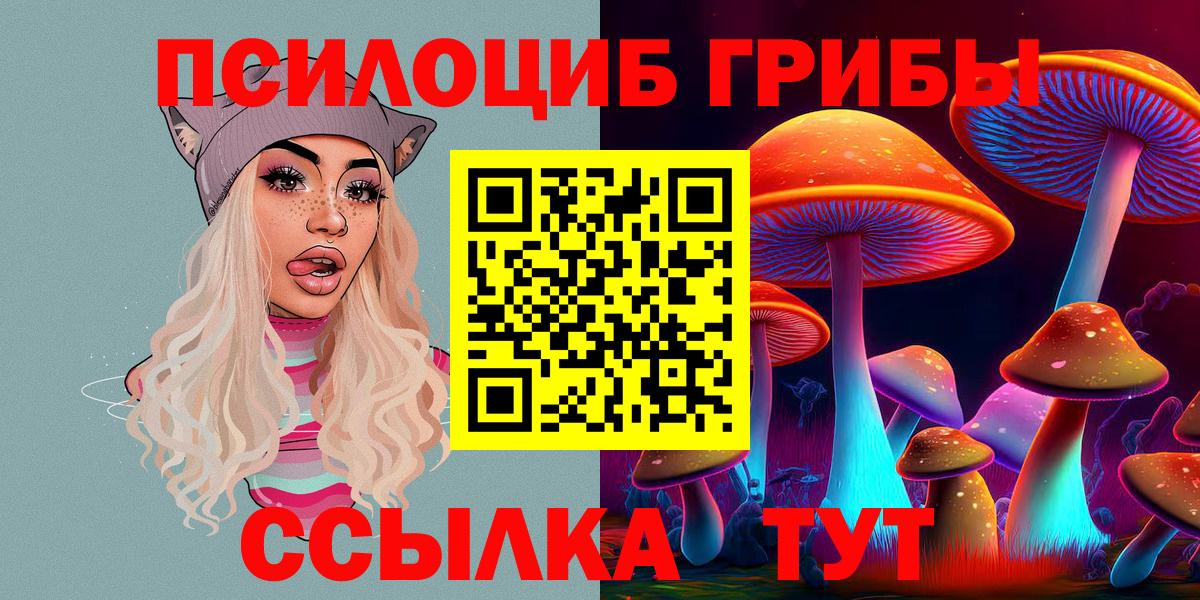 Нижнеудинск  Псилоцибиновые грибы прущие грибы  Вход с VPN 